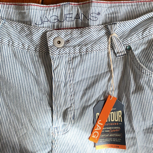 Jag Counter Girlfriend Jeans in Railroad Pinstripe Bleach-Wash Size 22W NWT - Picture 14 of 16